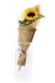 DSC08458.jpg